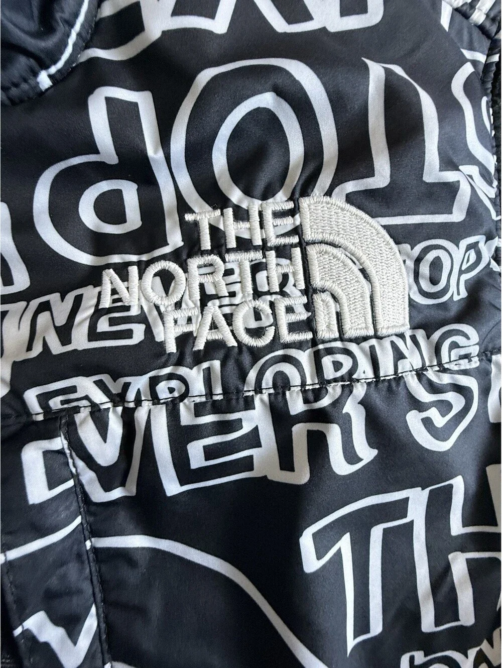 The North Face Teen Denali Jacket TNF Black TNF Marker Logo Print L